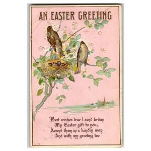 Antique 1909 Easter Embossed Postcard Birds Nest Chicks Blossoms Wakefield RI